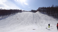 2/2高畑スキー場　レッドコースのコブライン（整備後）