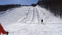 2/11高畑スキー場　レッドコースのコブライン下部からの眺め