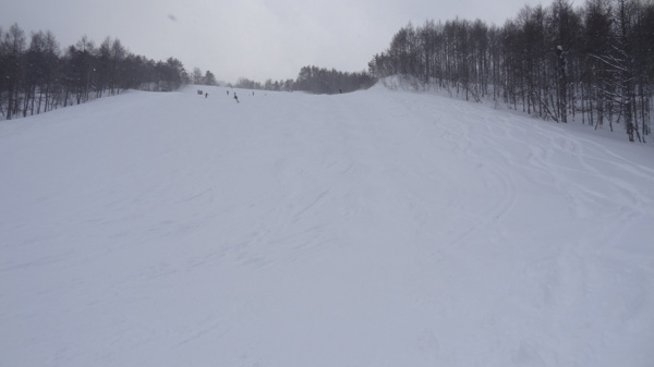 1/3高畑スキー場 レッドコース下部からの眺め