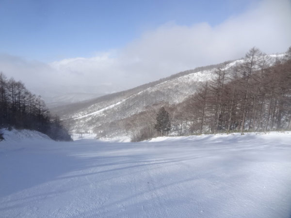 白鳥ダウンヒル上部からの眺め