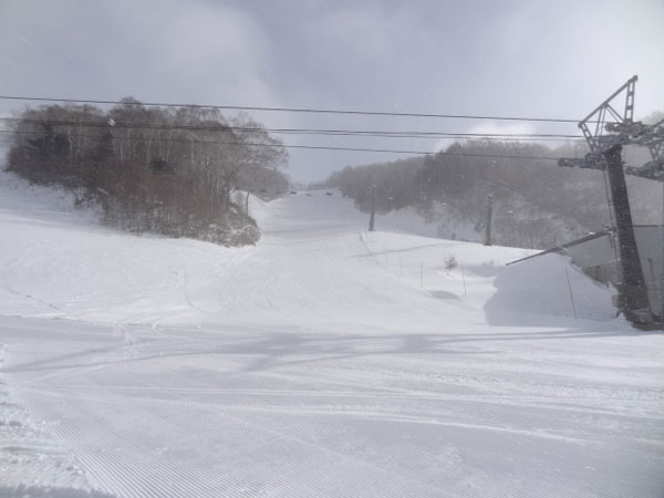 白鳥ダウンヒル下部からの眺め
