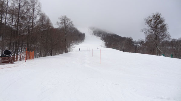 20170408_裏磐梯猫魔スキー場ダルジャン・センター下部のコブライン