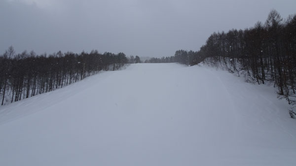 20190216_takahata_002