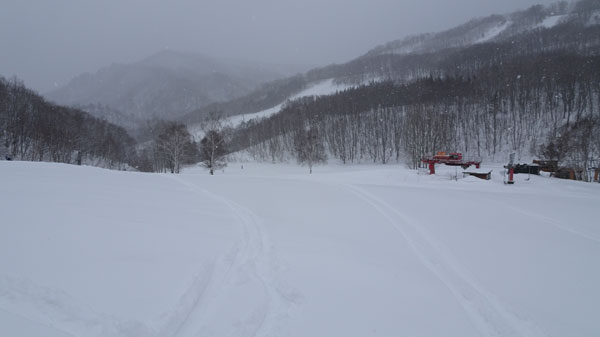 20190216_takahata_003