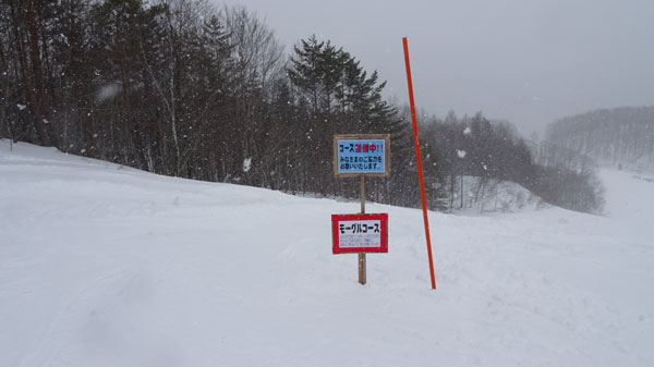 20190216_会津高原高畑スキー場レッドコースにスキー場が用意してくれたモーグルコースの看板(整備中)