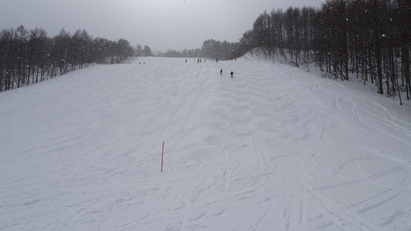 20190216_会津高原高畑スキー場昼食前のレッドモーグルコース(作成中)