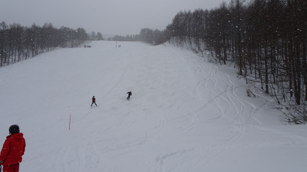 20190216_takahata_006