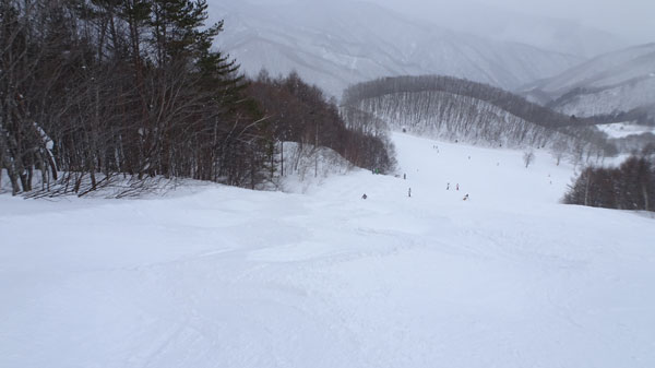 20220109_北日光・高畑スキー場　午後のレッドコース上部からのコブ