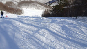 20220123_北日光・高畑スキー場　レッドコース上部からコブライン