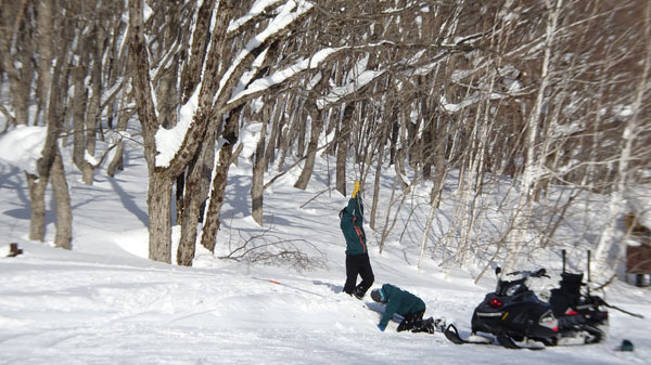 20220123_北日光・高畑スキー場　ブラックライン降り場付近の木を切るパトロール