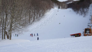 20220123_北日光・高畑スキー場　15時過ぎのオレンジライン脇のコブ
