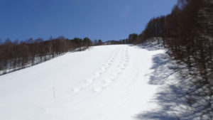 20220402_北日光・高畑スキー場レッドコースのコブ