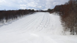 20220403_北日光・高畑スキー場レッドコースのコブ