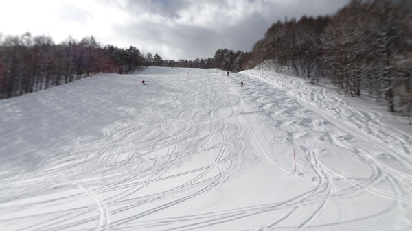 20230205_北日光・高畑スキー場　朝一番のレッドコースのコブ