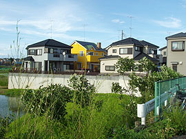 ����E�̔��̃C���[�W3