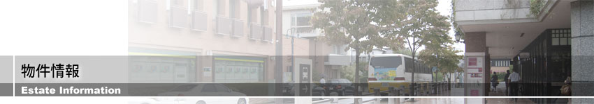 ��ʊJ��������� ��Јē�