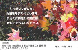 ���z���n�K�L�p�^�[��3�C���[�W